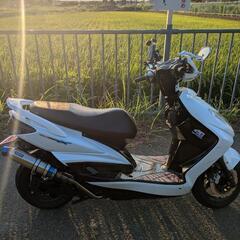 シグナスx2型　⭐️整備済み⭐️の画像