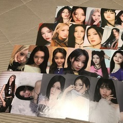 ベビモントレカの画像