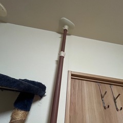キャットタワー　ドギーマン　美品の画像