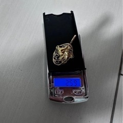 K18金ペガサスペンダントのみの画像