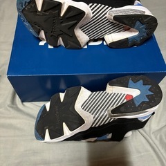 Reebok 
ポンプフューリー95 復刻 の画像