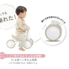 D-Bike mini ワイド　ミッフィーデザインの画像