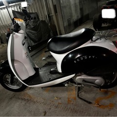 ホンダ スクーピー 原付 の画像