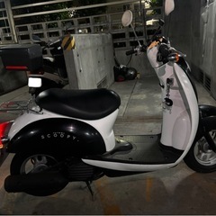 ホンダ スクーピー 原付 の画像