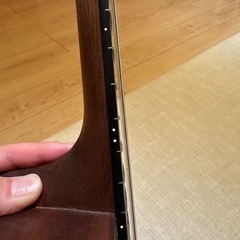 Martin Dreadnought Junior エレキアコースティックギターの画像