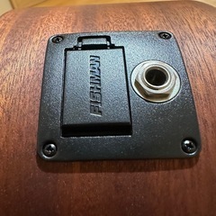 Martin Dreadnought Junior エレキアコースティックギターの画像