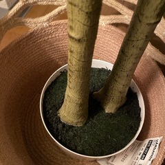 オリーブ フェイクグリーン　　の画像