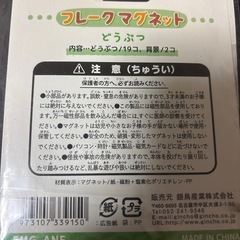 フレークマグネットの画像
