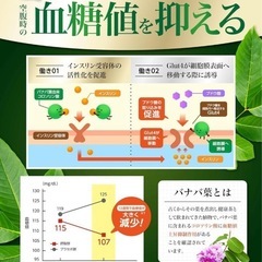 カロバーンαサプリメント　西彼、長崎市、大瀬戸町相談可の画像