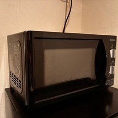 アイリスオーヤマ　電子レンジ　の画像