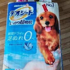 ペットのトイレシートとフードの画像