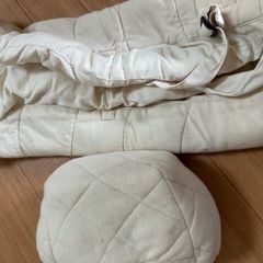 エルゴクッションの画像