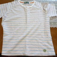 中古　イトーヨーカドーなどの服もありますの画像