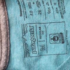 patagonia t-shirtの画像
