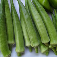 丸オクラ　農薬不使用の画像