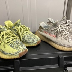アディダス　スニーカーの画像