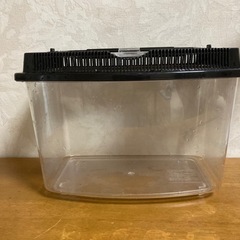 昆虫飼育ケースの画像