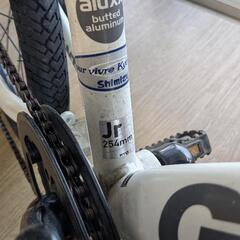 GIANT 20インチ 子供用クロスバイクの画像