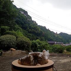 手網焙煎によるコーヒー焙煎を体験出来ますの画像