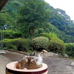 手網焙煎によるコーヒー焙煎を体験出来ますの画像