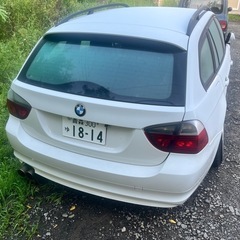 BMW M3 320i e91 スタンス車両 の画像