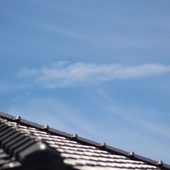 【作例あり】純正望遠レンズ Canon EF 75-300mm Ⅱ 動作良好の画像