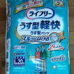 ★ 大人用紙おむつ 男女兼用 うす型パンツ Lサイズ(75～100) 60枚の画像