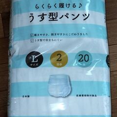 ★ 大人用紙おむつ 男女兼用 うす型パンツ Lサイズ(75～100) 60枚の画像