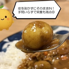 【農家直送】北海道京極産 まんまる可愛いちびいも（とうや）約3kgの画像