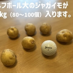 【農家直送】北海道京極産 まんまる可愛いちびいも（とうや）約3kgの画像