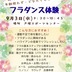 ランキングキーワードに紐づく投稿画像-習い事