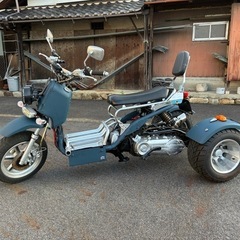三輪　トライク　バギー　ズーマー？　普通免許　公道走行可　ノーヘルの画像