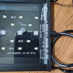 LEDライト　水草水槽の画像
