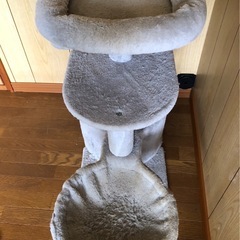 フェレット　遊具の画像