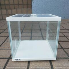 小型水槽　GEXの画像