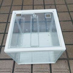 小型水槽　GEXの画像
