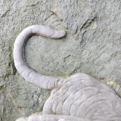 石の衝立　セメントによる虎図浮き彫り　庭石　幅約66cm 高さ約99cmの画像