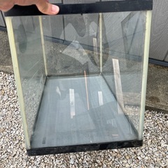 60cm水槽の画像