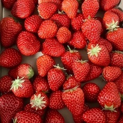 ➁グループ☆LINE仲間募集