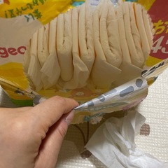 トイレトレーニングパッドの画像