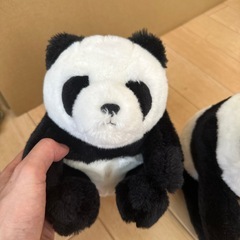 上野動物園で購入したパンダの画像