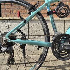 Bianchiビアンキ CAMELEON TE-1 SPORTS／43cmの画像