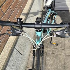 Bianchiビアンキ CAMELEON TE-1 SPORTS／43cmの画像