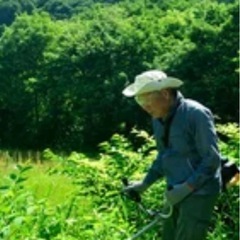 草刈り(年間通してお仕事あります)の画像