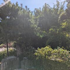 造園業辞めました。の画像