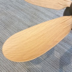 新品未使用 ソケット ファン ライト　リモコン付きの画像