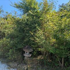 造園業辞めました。の画像