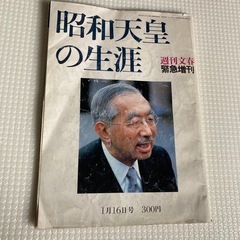 10投稿まとめて販売の画像