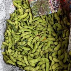《完売ありがとうございました》★土日*滝沢市販売*枝豆★の画像