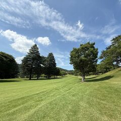 ～ゴルフシーズン到来ですね～　埼玉県川口市さいたま市周辺　楽しい...